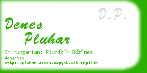 denes pluhar business card